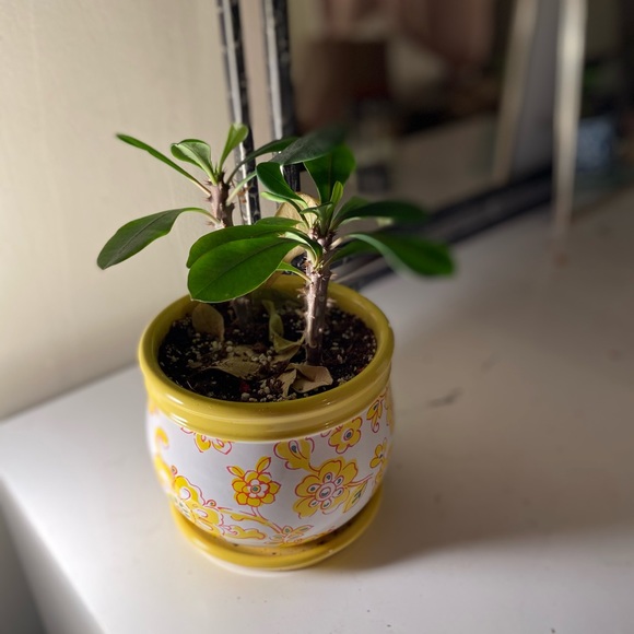 Meet your Posher, Kennedy - Picture 12 of 15